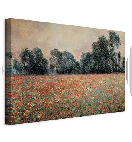 Paveikslas - Claude Monet – Field with wild Poppies