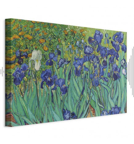 Taulu - Vincent Van Gogh – Iryses