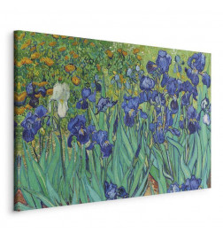 Quadro - Vincent Van Gogh – Iryses