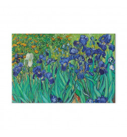 Glezna - Vincent Van Gogh – Iryses