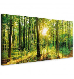 Canvas Print - Magic Forest