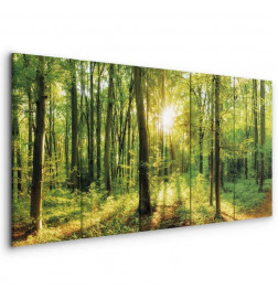 Canvas Print - Magic Forest
