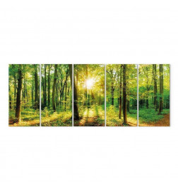 Seinapilt - Magic Forest