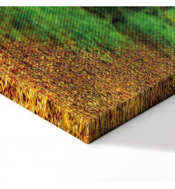 Canvas Print - Magic Forest