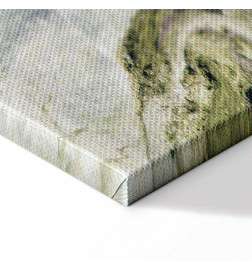 Taulu - Colorful Rock (1 Part) Wide - Third Variant