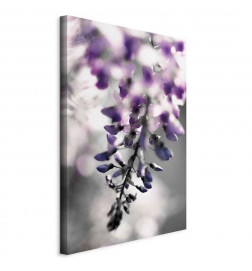 Slika - Violet Ringtones (1 Part) Vertical