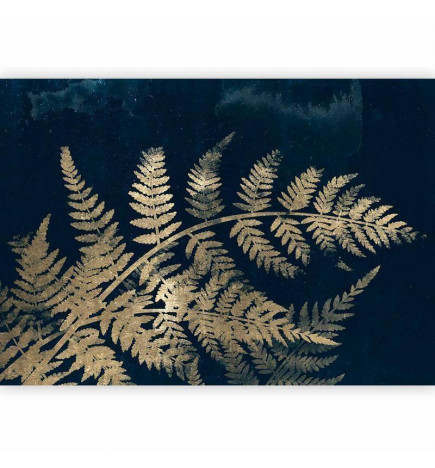 Wall Mural - Magic Night - First Variant