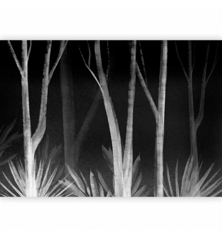 Fotobehang - Noise of the forest at night - minimalist landscape of white trees on a black background