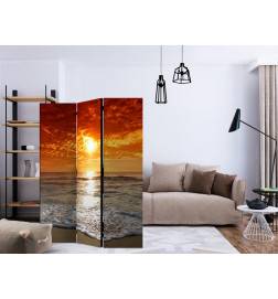 Room Divider - Marvelous sunset [Room Dividers]