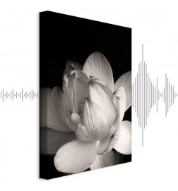 Cuadro - Delicacy of Petals in Nature (1-part) - Flower in Black and White