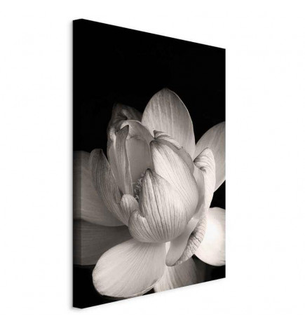 Tableau - Delicacy of Petals in Nature (1-part) - Flower in Black and White