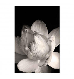 Cuadro - Delicacy of Petals in Nature (1-part) - Flower in Black and White