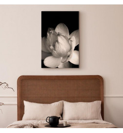 Tableau - Delicacy of Petals in Nature (1-part) - Flower in Black and White