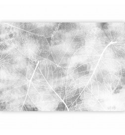 Fototapeta - Nature in My Home - Third Variant