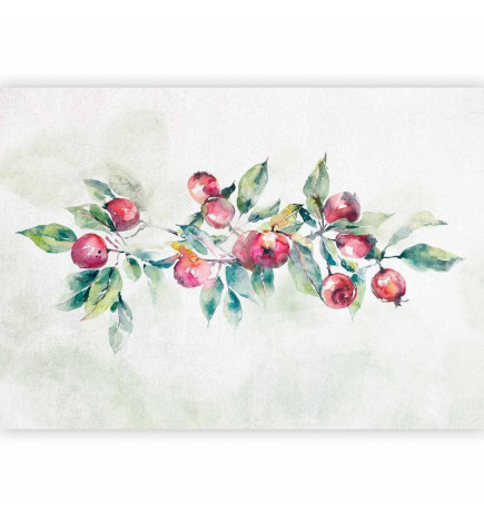 Fotobehang - Apple branch - landscape with a plant and red apples on a white background