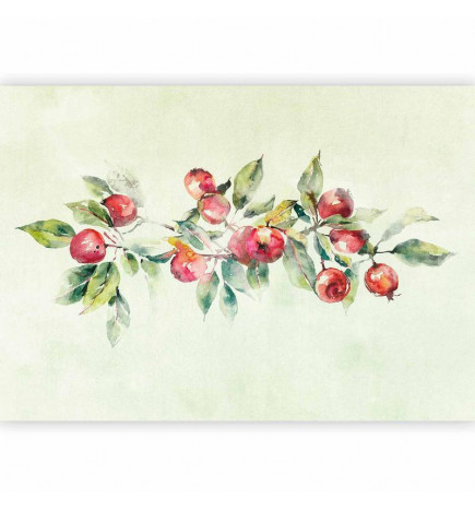 Fotobehang - Apple branch - delicate landscape with a plant and apples on a white background