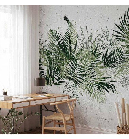 Fototapetas - Jungle and green plume - large tropical leaves on a white background