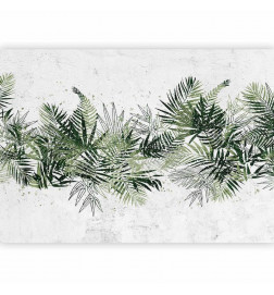 Fototapet - Jungle and green plume - large tropical leaves on a white background