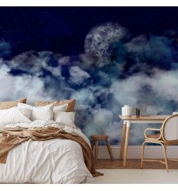 Wall Mural - Journey to the Moon