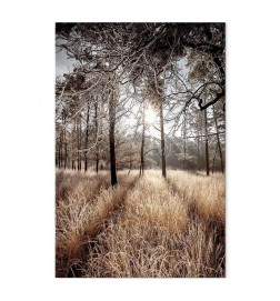 Tableau - Straight Into Love (1 Part) Vertical