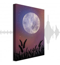 Taulu - Night in the Country (1 Part) Vertical