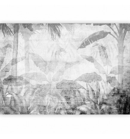 Fototapetti - Vanishing jungle - landscape of exotic trees and leaves in grey tones