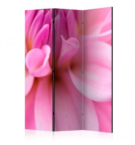 124,00 € 3-teiliges Paravent - Flower petals - dahlia [Room Dividers]