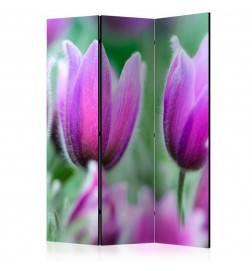 124,00 € Room Divider - Purple spring tulips [Room Dividers]