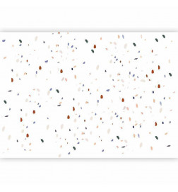 Fototapetas - Classic Terrazzo on White Background