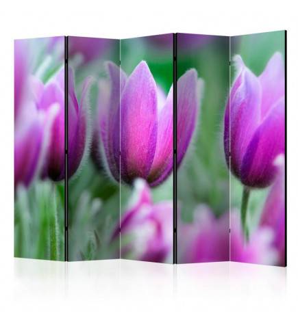 5-teiliges Paravent - Purple spring tulips II [Room Dividers]