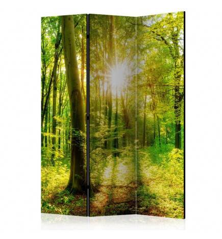 124,00 € 3-teiliges Paravent - Forest Rays [Room Dividers]