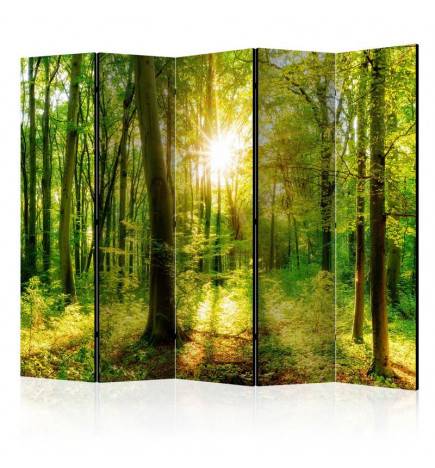 172,00 € Room Divider - Forest Rays II [Room Dividers]