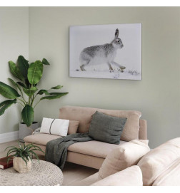 Tableau - Hare (1 Part) Wide