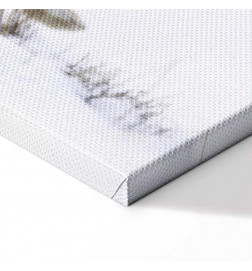 Quadro - Hare (1 Part) Wide