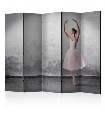 5-teiliges Paravent - Ballerina in Degas paintings style II [Room Dividers]