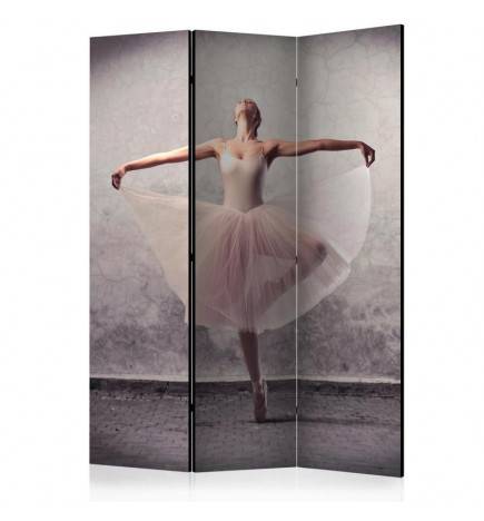 124,00 € 3-teiliges Paravent - Classical dance - poetry without words [Room Dividers]