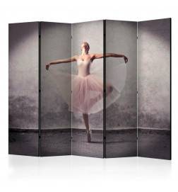 172,00 € Room Divider - Classical dance - poetry without words II [Room Dividers]