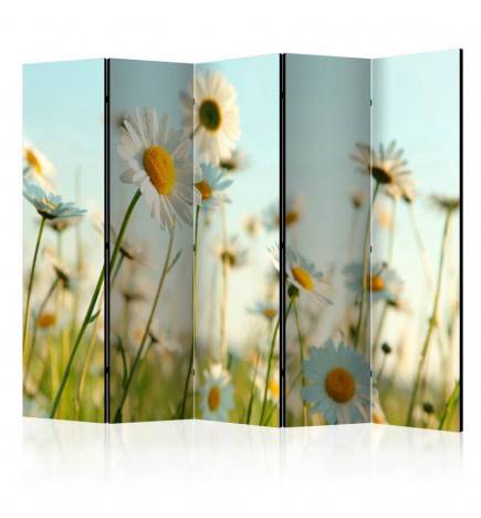 172,00 €Paravent 5 volets - Daisies - spring meadow II [Room Dividers]