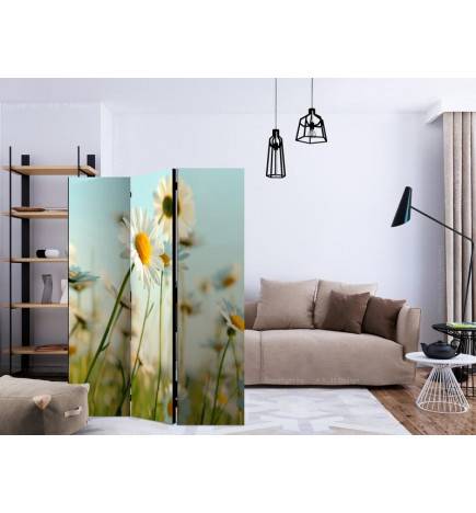 3-teiliges Paravent - Daisies - spring meadow [Room Dividers]