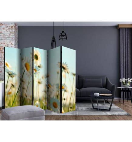 Paravent 5 volets - Daisies - spring meadow II [Room Dividers]