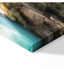 Schilderij - Nature: Forest Waterfall