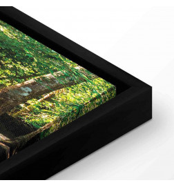 Canvas Print - Nature: Forest Waterfall