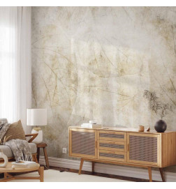 Mural de parede - Beige murmurs