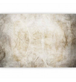 Mural de parede - Beige murmurs