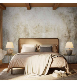 Mural de parede - Beige murmurs