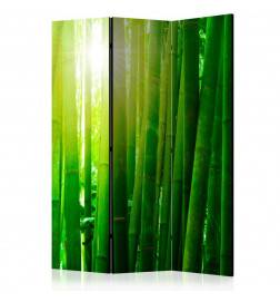 124,00 €Paravento foresta di bamboo arredalacasa 3 ante