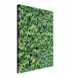 Canvas Print - Thick Ivy (1 Part) Vertical