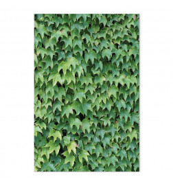 Glezna - Thick Ivy (1 Part) Vertical