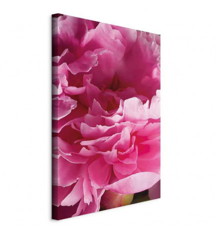 Cuadro - Blossom of Beauty (1-part) - Pink Peony Flower Embraced by Nature