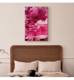 Cuadro - Blossom of Beauty (1-part) - Pink Peony Flower Embraced by Nature